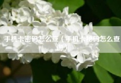 手机卡密码怎么查（手机卡秘码怎么查询）