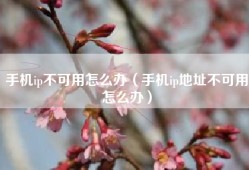 手机ip不可用怎么办（手机ip地址不可用怎么办）