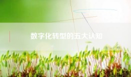 数字化转型的五大认知