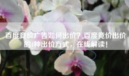 百度竞价广告如何出价？百度竞价出价的4种出价方式，在线解读！