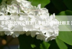 手机怎么转让群主（手机如何转让群主）