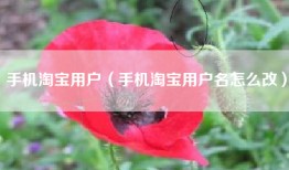 手机淘宝用户（手机淘宝用户名怎么改）