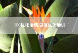 SEO优化培训,百度优化培训