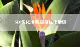 SEO优化培训,百度优化培训