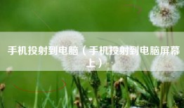 手机投射到电脑（手机投射到电脑屏幕上）