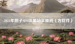 2021年附子SEO流量站实操班（含软件）