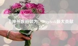 【神州数码郭为：DeepSeek最大贡献