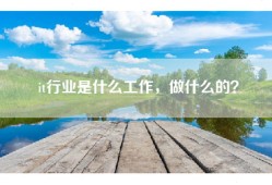it行业是什么工作，做什么的？