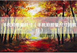 手机拍照量尺寸（手机拍照量尺寸的软件）