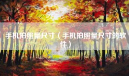 手机拍照量尺寸（手机拍照量尺寸的软件）