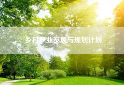 乡村产业发展与规划计划