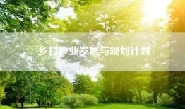 乡村产业发展与规划计划
