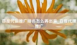 百度代做推广排名怎么弄出来_百度代理推广