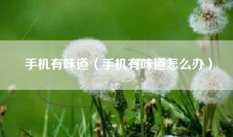 手机有味道（手机有味道怎么办）