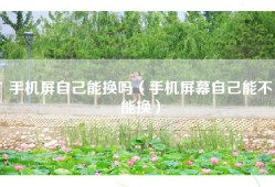 手机屏自己能换吗（手机屏幕自己能不能换）