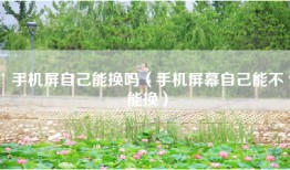 手机屏自己能换吗（手机屏幕自己能不能换）