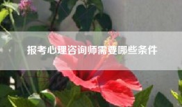 报考心理咨询师需要哪些条件