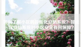 如何了解小区的智能化安防系统？智能化安防系统对小区安全有何保障？