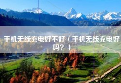 手机无线充电好不好（手机无线充电好吗？）