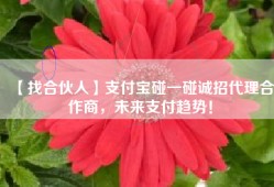 【找合伙人】支付宝碰一碰诚招代理合作商，未来支付趋势！