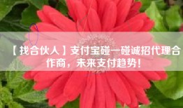 【找合伙人】支付宝碰一碰诚招代理合作商，未来支付趋势！