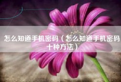 怎么知道手机密码（怎么知道手机密码十种方法）