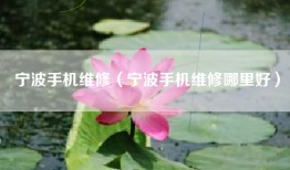 宁波手机维修（宁波手机维修哪里好）