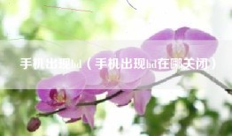 手机出现hd（手机出现hd在哪关闭）