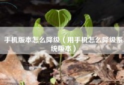 手机版本怎么降级（用手机怎么降级系统版本）