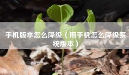 手机版本怎么降级（用手机怎么降级系统版本）