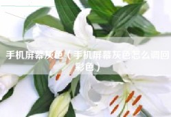 手机屏幕灰色（手机屏幕灰色怎么调回彩色）