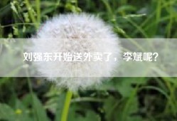 刘强东开始送外卖了，李斌呢？