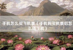 手机怎么买飞机票（手机购买机票后怎么搭飞机）