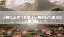 手机怎么买飞机票（手机购买机票后怎么搭飞机）