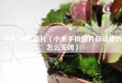 小米9手机图片（小米手机图片自动旋转怎么关闭）