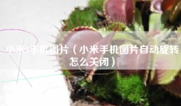小米9手机图片（小米手机图片自动旋转怎么关闭）