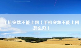 手机突然不能上网（手机突然不能上网怎么办）