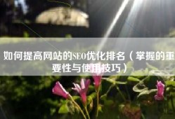 如何提高网站的SEO优化排名（掌握的重要性与使用技巧）