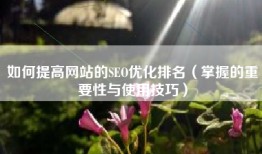 如何提高网站的SEO优化排名（掌握的重要性与使用技巧）