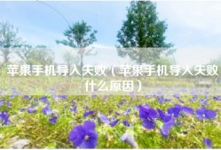 苹果手机导入失败（苹果手机导入失败什么原因）