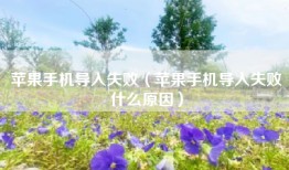 苹果手机导入失败（苹果手机导入失败什么原因）
