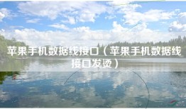 苹果手机数据线接口（苹果手机数据线接口发烫）