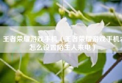 王者荣耀游戏手机（王者荣耀游戏手机5怎么设置陌生人来电）