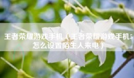 王者荣耀游戏手机（王者荣耀游戏手机5怎么设置陌生人来电）