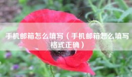 手机邮箱怎么填写（手机邮箱怎么填写格式正确）