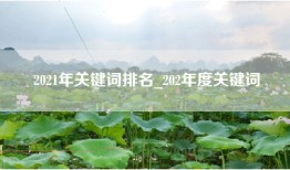 2021年关键词排名_202年度关键词