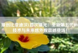 原创比亚迪汉L首次曝光：全新第五代DM技术与未来感外观震撼登场！