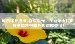 原创比亚迪汉L首次曝光：全新第五代DM技术与未来感外观震撼登场！