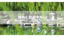 商务（商务华为hr）