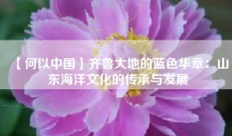【何以中国】齐鲁大地的蓝色华章：山东海洋文化的传承与发展
